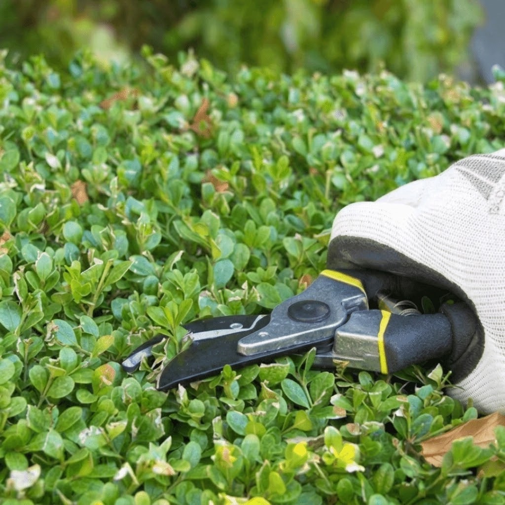 Tesoura de Podar Resistente e Afiada - PruneMax™