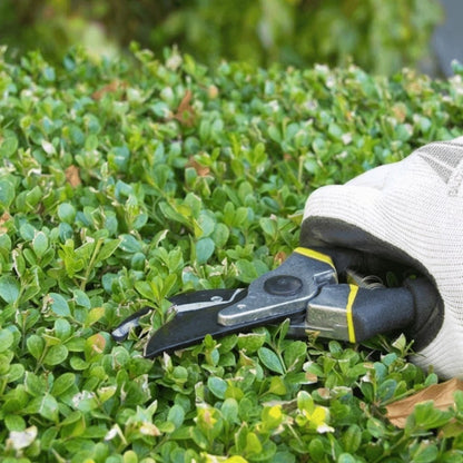 Tesoura de Podar Resistente e Afiada - PruneMax™