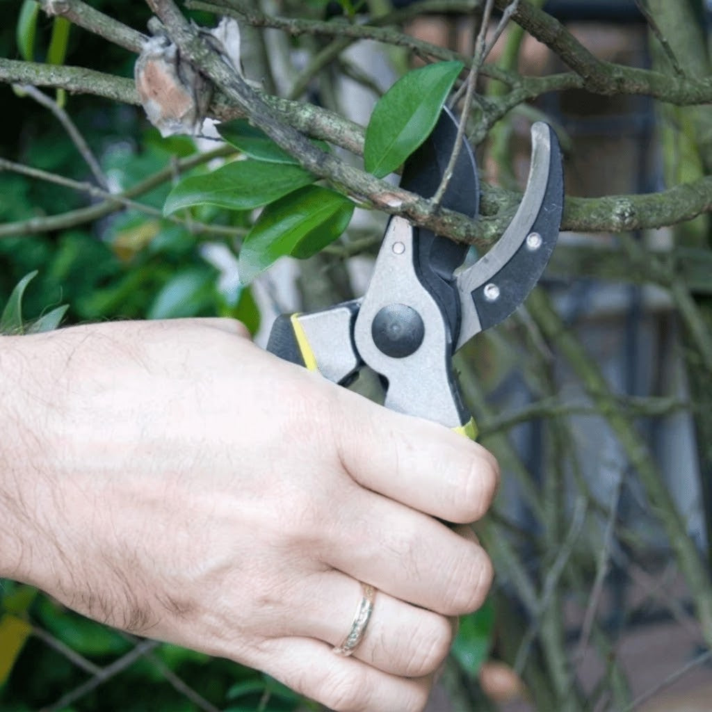 Tesoura de Podar Resistente e Afiada - PruneMax™