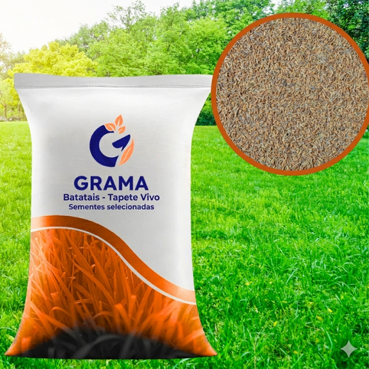 Sementes de Grama Batatais GreenRoot™ - Grama Forte, Verde e Uniforme Para Seu Jardim