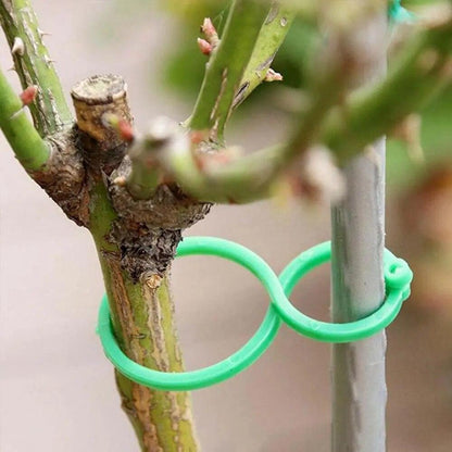Suportes Clipes de Cintas para Plantas - VineGrip™