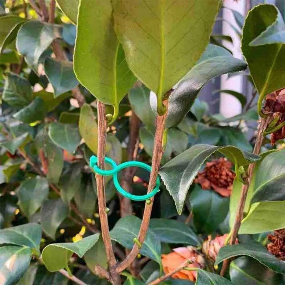 Suportes Clipes de Cintas para Plantas - VineGrip™