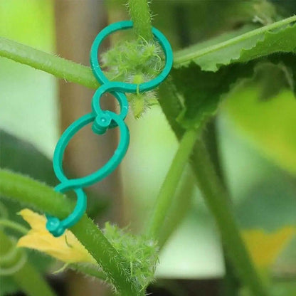 Suportes Clipes de Cintas para Plantas - VineGrip™