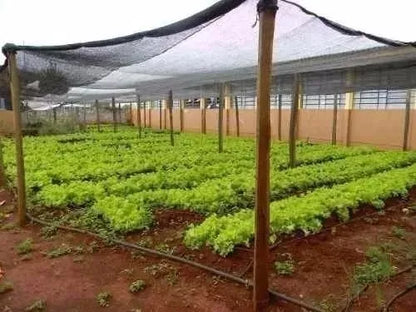 Sombrite 50 para Horta Premium
