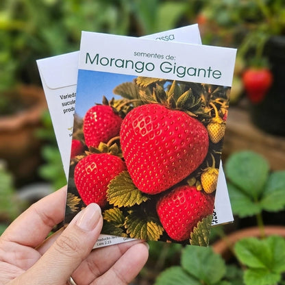 205 Sementes de Morango Gigante Doce Raro para Plantio - MorangoMax Doce™