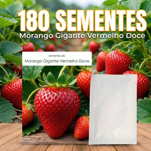 205 Sementes de Morango Gigante Doce Raro para Plantio - MorangoMax Doce™