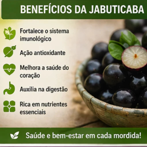 Jabuticaba Roxa Doce Enxertada Híbrida Precoce Natural 40cm - JabuDoce Precoce™