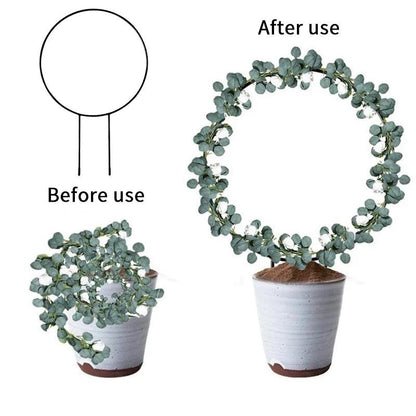 Arco Decorativo para Suporte de Plantas com Estrutura Resistente - GardenArch™