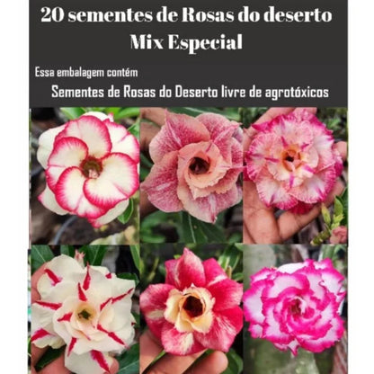 Kit com 20 Sementes de Rosas do Deserto Mix de Cores Raras e Alta Germinação - DesertBloom™