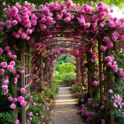 300 Sementes de Rosa Trepadeira Pink para Mudas - PinkTrepadeira™